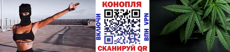 Бошки Шишки план  Обнинск 